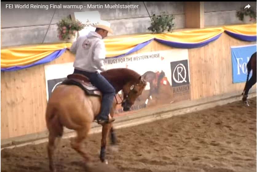 Martin Muehlstaetter demonstrates he can abuse a horse Reining Trainers