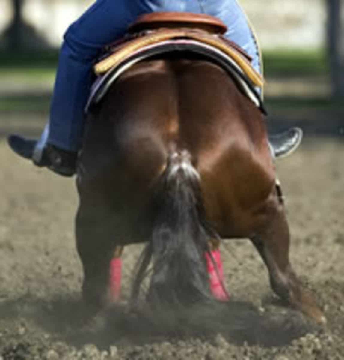 Are Reining Trainers Getting Away with Blocking Tails to Win? Reining